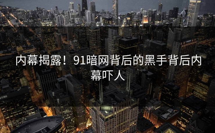内幕揭露！91暗网背后的黑手背后内幕吓人