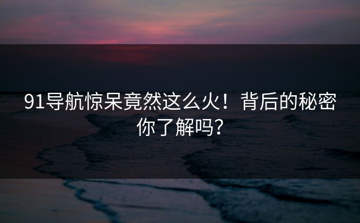 91导航惊呆竟然这么火！背后的秘密你了解吗？