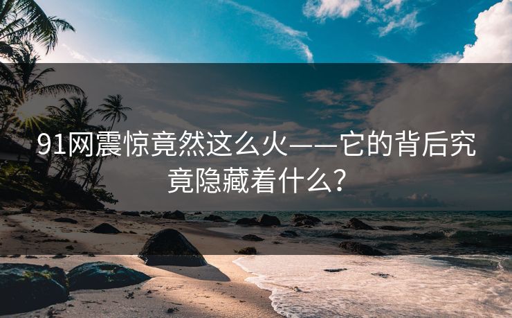 91网震惊竟然这么火——它的背后究竟隐藏着什么？