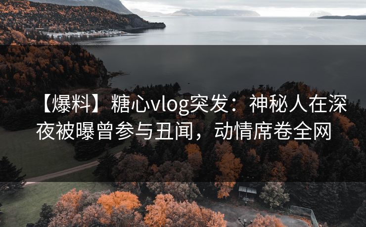 【爆料】糖心vlog突发：神秘人在深夜被曝曾参与丑闻，动情席卷全网