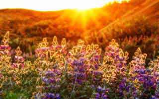 别只看表面，如果你只改一个设置：优先改更新节奏（这点太容易忽略）