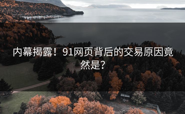 内幕揭露！91网页背后的交易原因竟然是？