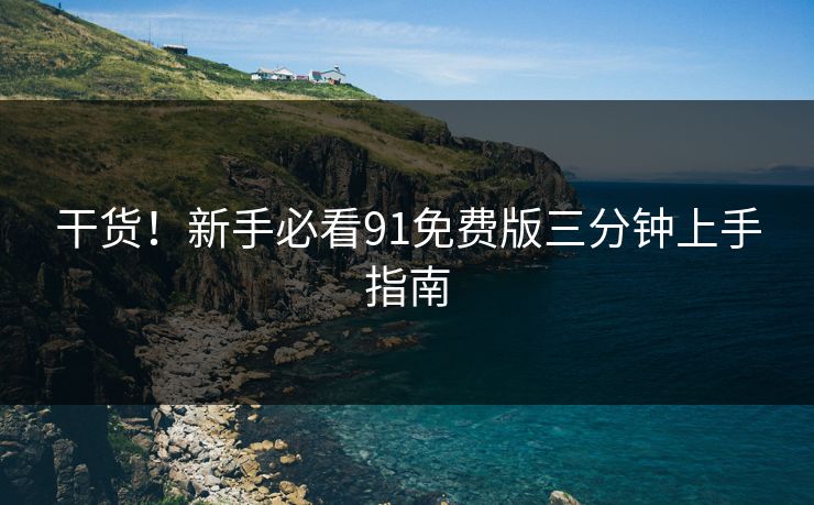 干货！新手必看91免费版三分钟上手指南