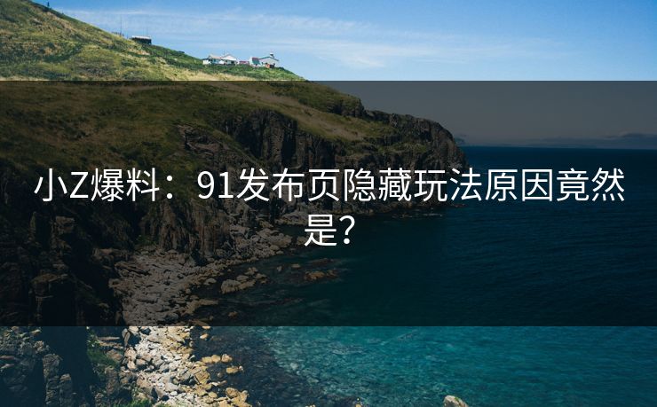 小Z爆料：91发布页隐藏玩法原因竟然是？