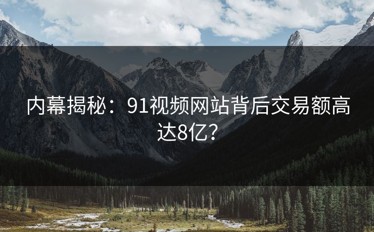 内幕揭秘：91视频网站背后交易额高达8亿？