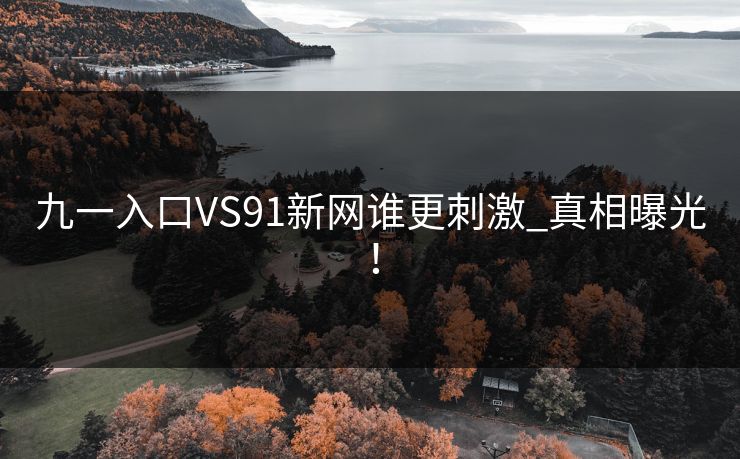 九一入口VS91新网谁更刺激_真相曝光！