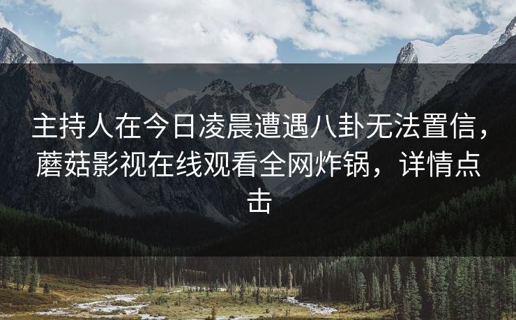 主持人在今日凌晨遭遇八卦无法置信，蘑菇影视在线观看全网炸锅，详情点击