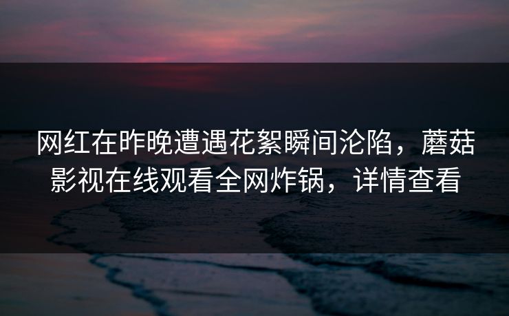 网红在昨晚遭遇花絮瞬间沦陷，蘑菇影视在线观看全网炸锅，详情查看