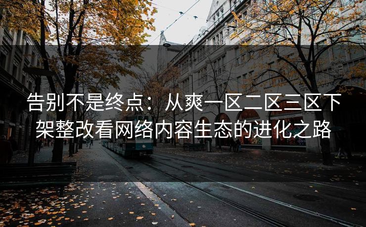告别不是终点：从爽一区二区三区下架整改看网络内容生态的进化之路