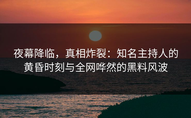 夜幕降临，真相炸裂：知名主持人的黄昏时刻与全网哗然的黑料风波